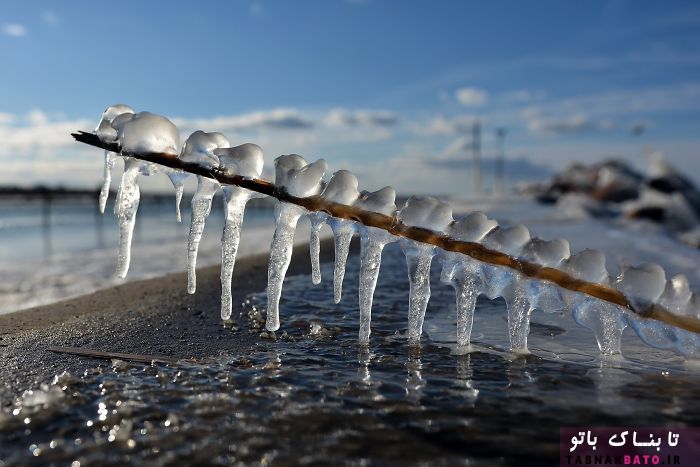 تصاویری شگفت‌انگیز از ساحلی یخ‌زده