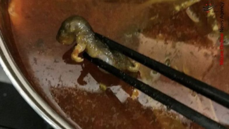 موش مرده در سوپ، یک رستوران را به تعطیلی کشاند +عکس